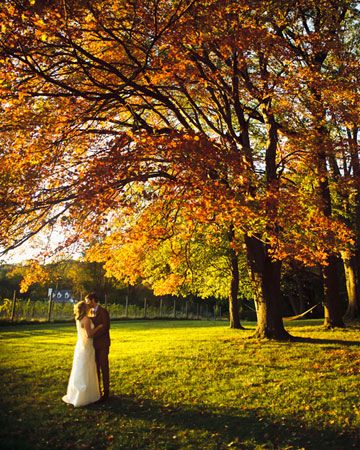 Fall wedding photography 